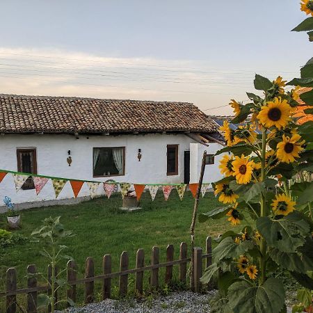 Serendipity Cottage Palamartsa Palamarza Εξωτερικό φωτογραφία