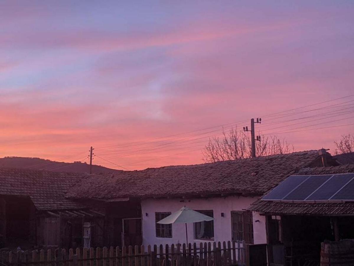 Serendipity Cottage Palamartsa Palamarza Εξωτερικό φωτογραφία