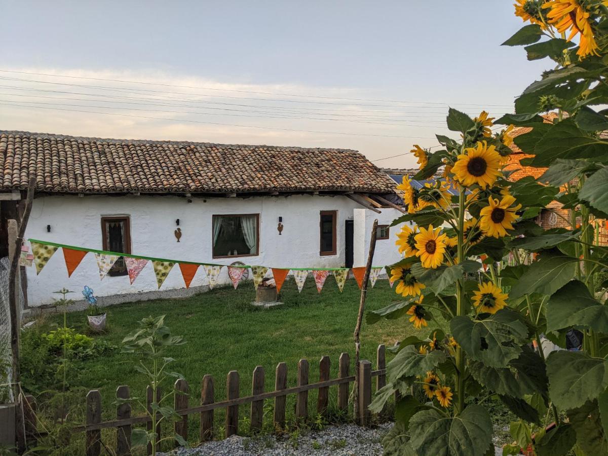 Serendipity Cottage Palamartsa Palamarza Εξωτερικό φωτογραφία